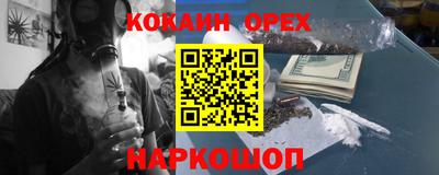 крисы Будённовск