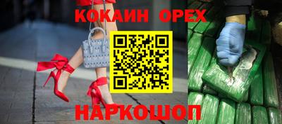 крисы Будённовск