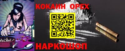 крисы Будённовск